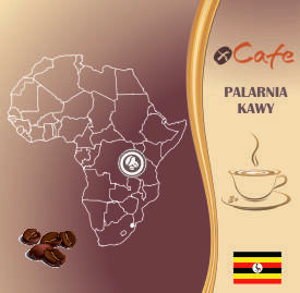 Kawa świeżo palona Arabica 250g • Uganda Bugisu AA • Ziarnista
