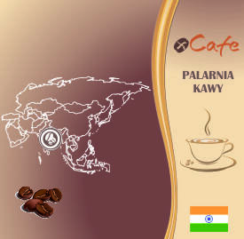 Kawa świeżo palona Robusta 250g • Indie Parchment peaberry • Mielona
