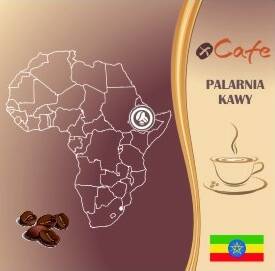 Kawa świeżo palona Arabica 1kg •  Etiopia Sidamo Mocca • Mielona