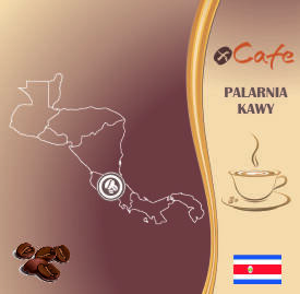 Kawa świeżo palona Arabica 1kg • Kostaryka Tarrazu SHB EP • Mielona