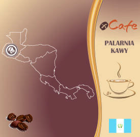 Kawa świeżo palona Arabica 500g • Gwatemala SHG EP Delizia • Ziarnista